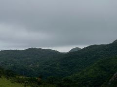 -大姆山草场