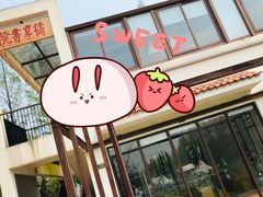 -前小桔亲子创意农场·草莓采摘·露营烧烤