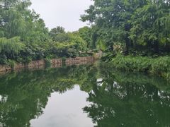 -迪士尼小镇