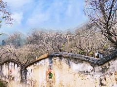 -广州市流溪河国家森林公园