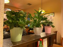 -绝城芋儿鸡(犀浦旗舰店)