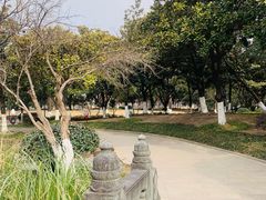 -花溪公园