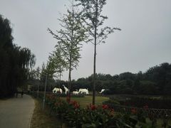 -廊坊市自然公园