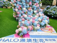 -HALO广场(梨园路店)