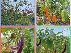 -将军关探险漂流