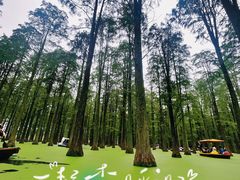 -渌洋湖湿地公园