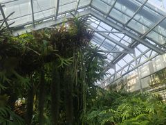 -国家植物园南园