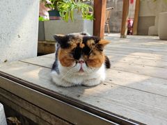 -谷咖啡·鲜花绿植花园餐厅