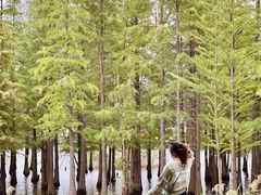 -白鹭湾湿地公园