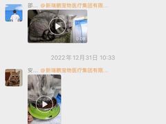 -美联众合动物医院·24h京西诊疗中心