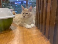 -龟与熊猫宠物公园(南坪店)