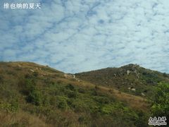 -南丫岛