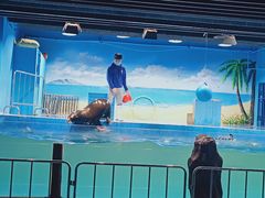 -沙沙哗啦海洋馆(华宇百花谷店)