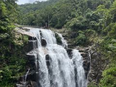 -海南热带雨林国家公园吊罗山景区