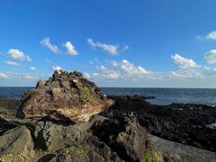 -涉地可支