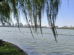 -金银湖国家城市湿地公园