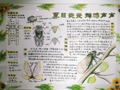 -上海昆虫博物馆