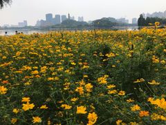 -顺峰山公园