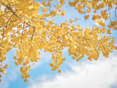 -上海交通大学(闵行校区)