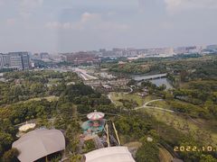 -顾村公园