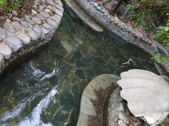 -三亚珠江南田温泉度假区