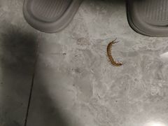 -秦府酒店(北京鼓楼店)