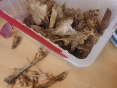 -小李烧鸡(西北角总店)