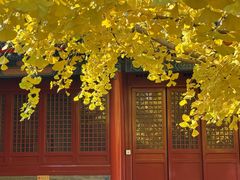 -承恩寺
