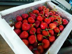 樱桃-沈阳市八家子水果批发市场