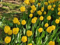 -长春公园(普阳街道)