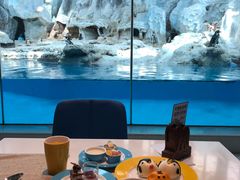 -帝企鹅自助餐厅•儿童岛•真企鹅(长隆企鹅酒店)