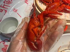 -靓靓蒸虾·头牌蒸虾(南山桂庙店)