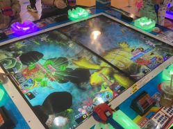 -卡通尼乐园(上海安亭店)