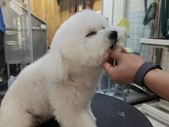 -肉串汪(月坛店)