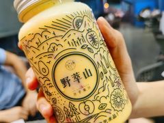 -野萃山·潮汕厚果汁(十亩地店)
