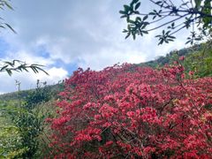 -广东天露山旅游度假区