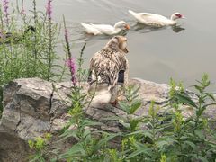-莲花池公园