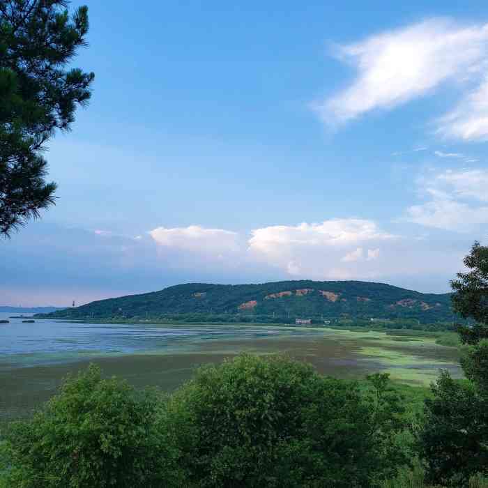 慕湾果园-"话不多说就是摘果子,天气热的不行99,花.