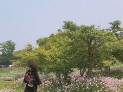 -滆湖低碳生态公园