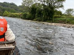 -九曲溪竹筏码头