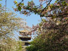 -东湖生态旅游风景区