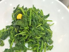 巧拌桑叶苗-邢家锅贴老店·非遗·开封菜(金明广场店)