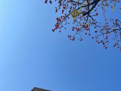 -伦教678文化街