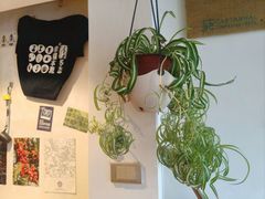 -参差咖啡(水果湖公园店)