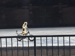 -汕头蓝水星欢乐世界