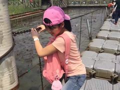 -溱湖国家湿地公园