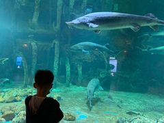 -华夏文旅海洋公园