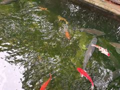 -新世纪大酒楼·30年南海菜