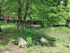 -天花井景区