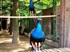 -南京金牛湖风景区